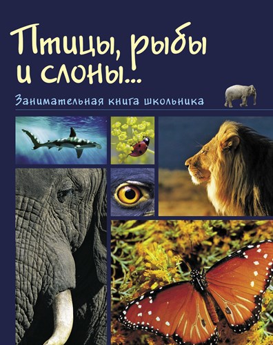 Птицы, рыбы и слоны. Н.с. Медведева 978-5-88017-445-4 - фото 5068