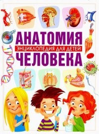 Анатомия человека. Энциклопедия для детей.   В. Гуиди 978-5-9567-2538-2